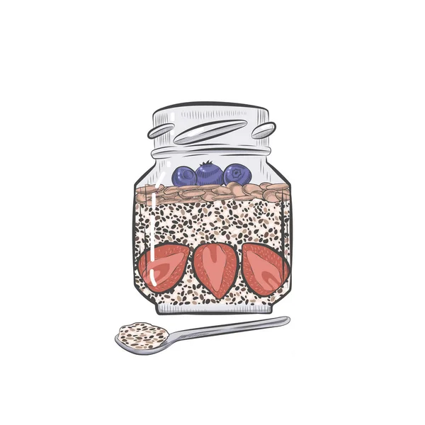 Chia Puding Bogyókkal Üveg Vektoros Vázlatban Chia Desszert Üveg Kanál — Stock Vector