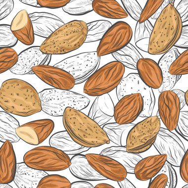 Badem fıstığı pürüzsüz desen. Beyaz arkaplanda fındık sonsuz desen.