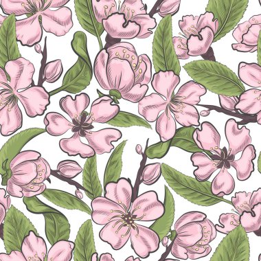 Badem ağacının pembe çiçekleri izole edilmiş pürüzsüz desen. Beyaz arka planda çiçek açan bahar bitmeyen desen.