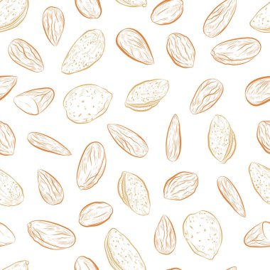 Badem fıstığı pürüzsüz desen. Beyaz arkaplandaki ceviz sınırsız desen.