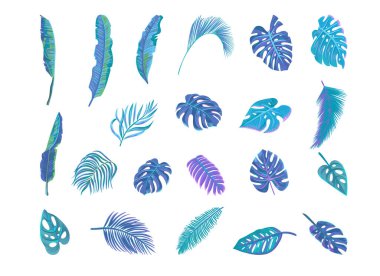Vektör pastel tropik yapraklar koleksiyonu. Beyaz arkaplanda izole edilmiş egzotik yapraklar.