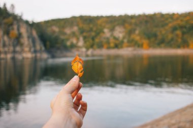 Çek Cumhuriyeti 'nin Zvikov Kalesi' nde küçük bir yaprak tutan kadın. Film efekti, fotoğraf yazma işlemi