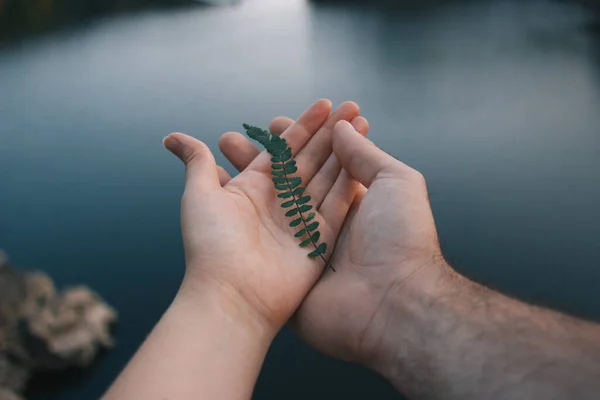 Erkek ve kadın, Çek Cumhuriyeti 'nin Zvikov Şatosu' ndaki güzel manzaranın önünde küçük bir yaprağı bir arada tutuyor. Film efekti, fotoğraf yazma işlemi