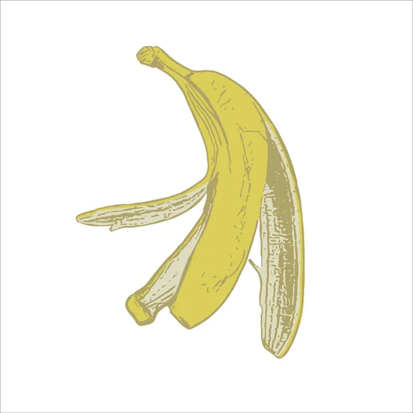 Δέρμα του μια μπανάνα — Διανυσματικό Αρχείο