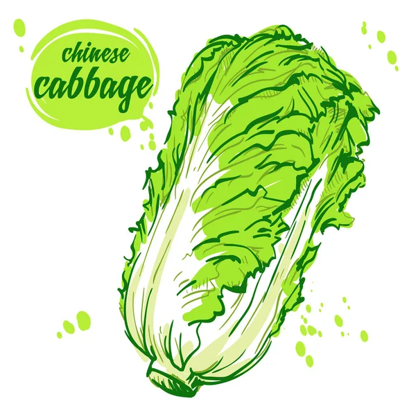 vegan Çin lahanası