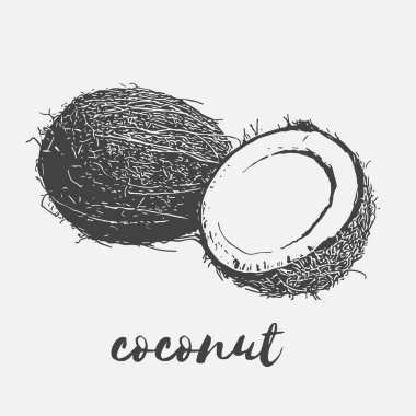 Olgun Hindistan cevizi vegan