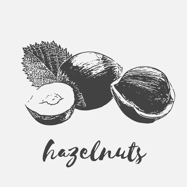 fındık organik gıda