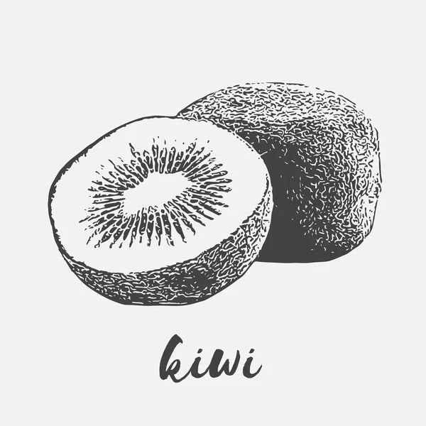 Kiwis bio Fruits — Image vectorielle