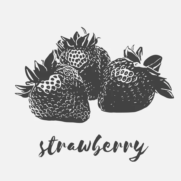 Strawberry ekologisk vegan — Stock vektor