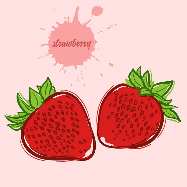 Dessin à la main de fraise — Image vectorielle