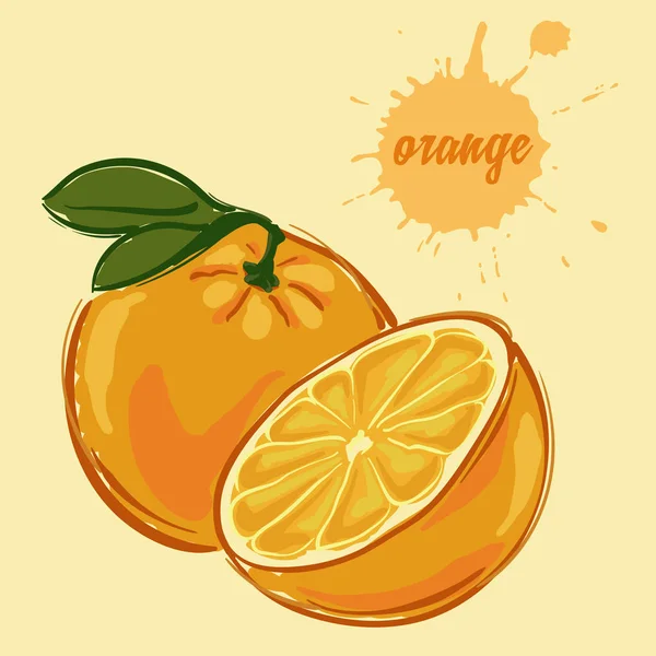 Dessin à la main d'orange — Image vectorielle
