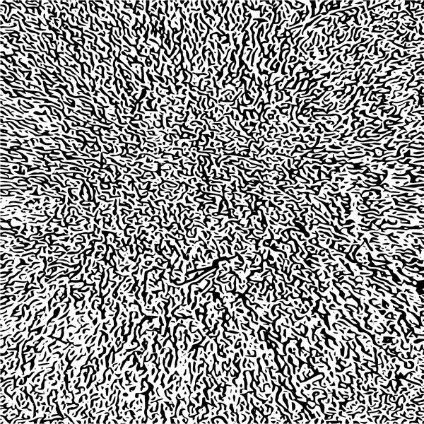 Vektör Grunge Dokusu