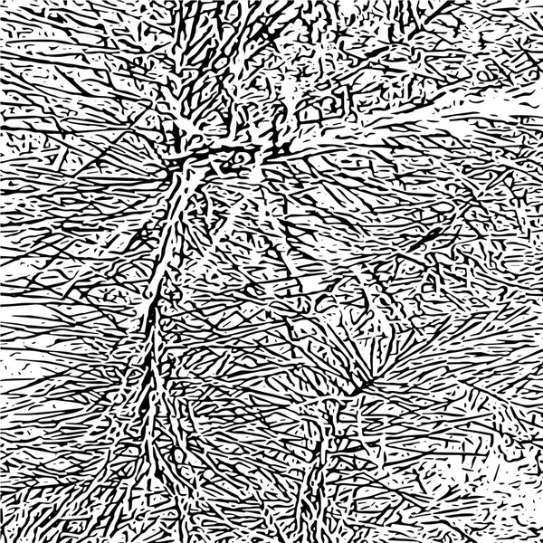 Vektör Grunge Dokusu