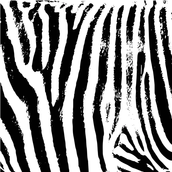 Zebra deri doku