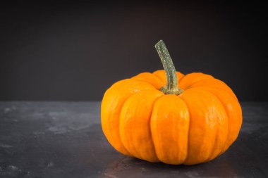 gri bir arka plan üzerinde turuncu dekoratif kabaklar