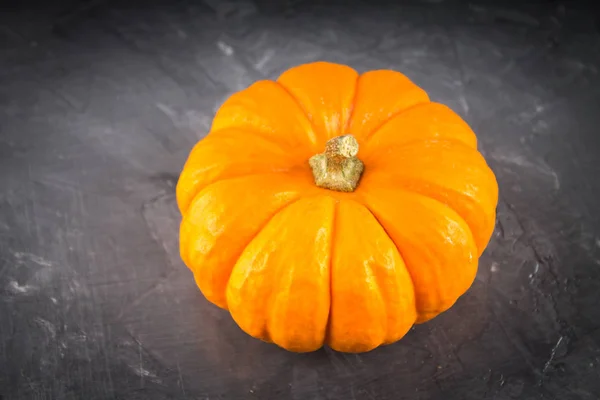 Abóboras decorativas laranja em um fundo cinza — Fotografia de Stock