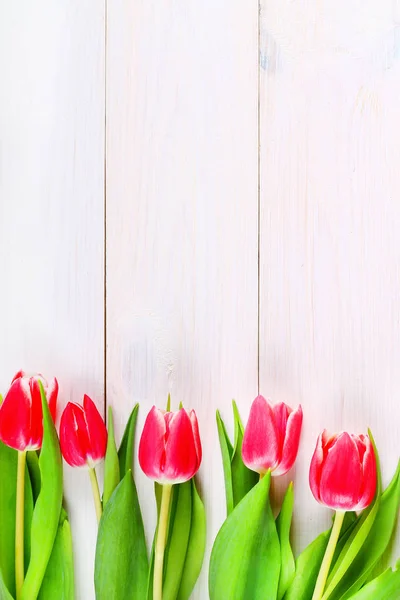 Feliz día de la madre. Tulipanes sobre fondo de madera blanca — Foto de Stock