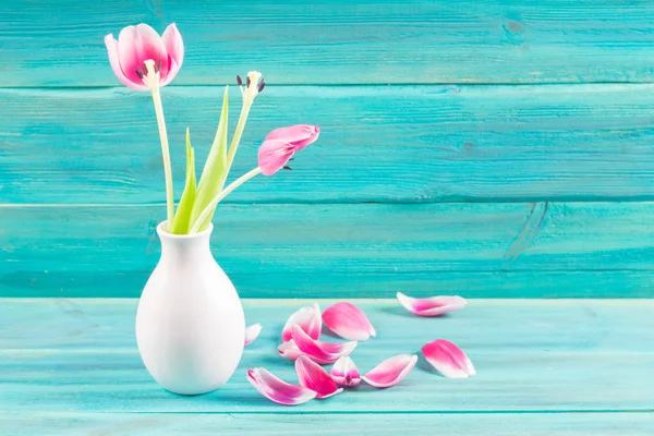 Tulipanes rosados marchitos en un jarrón blanco, pétalos caídos sobre un fondo azul de madera — Foto de Stock