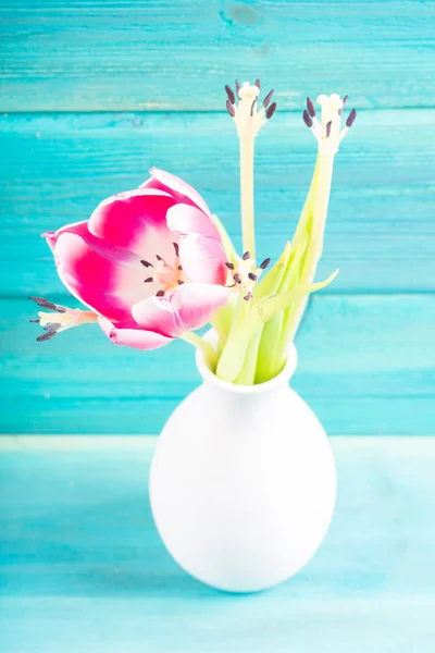 Tulipanes rosados marchitos en un jarrón blanco sobre un fondo de madera azul — Foto de Stock