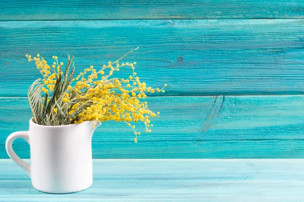 Flores amarelas da primavera de mimosa em uma caneca branca em um fundo de madeira azul . — Fotografia de Stock