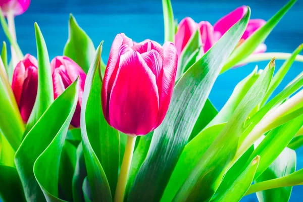 Buquê de tulipas rosa no fundo de madeira azul.. Feliz dia da mãe . — Fotografia de Stock