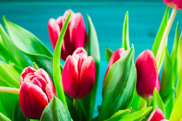 Buquê de tulipas rosa no fundo de madeira azul.. Feliz dia da mãe . — Fotografia de Stock