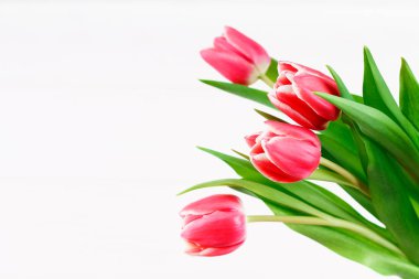Beyaz ahşap zemin üzerinde Pembe Lale buketi. Görünümü en çok, uzay kopyalayın. Mutlu anneler günü.