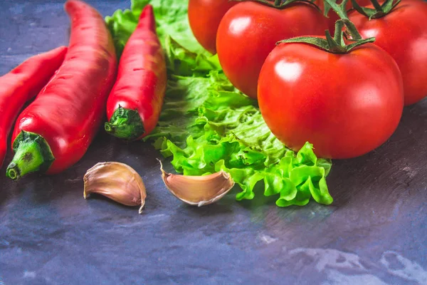 Czerwona papryka chili, pomidory, Sadat i czosnek na szary marmur b — Zdjęcie stockowe