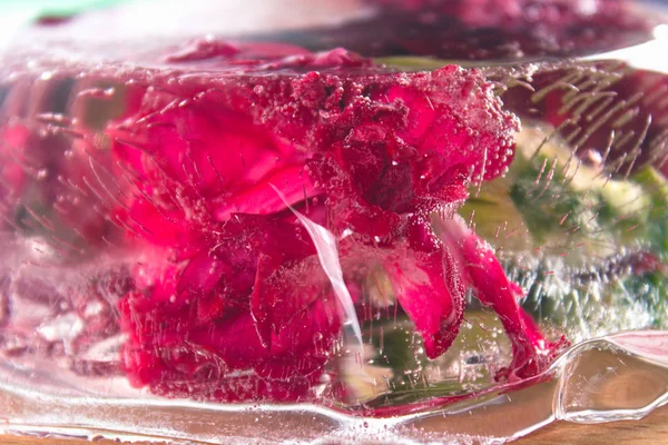 Flores de clavel en hielo, sobre un fondo de madera — Foto de Stock