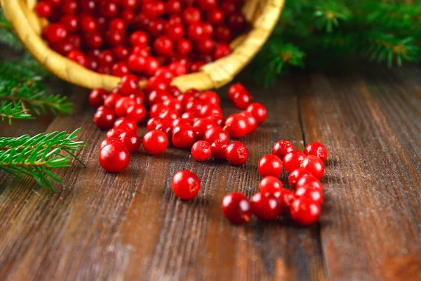 Cowberry, foxberry, áfonya, Vörösáfonya kortyot a kosárból, a barna fából készült asztal. Körülvett fenyő ágak. — Stock Fotó