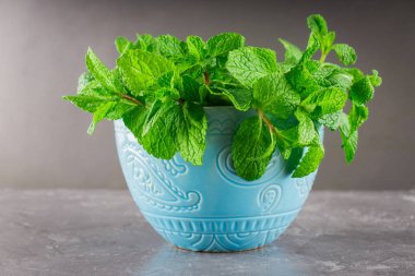 Yeşil nane gri bir arka plan üzerinde mavi bir kasede