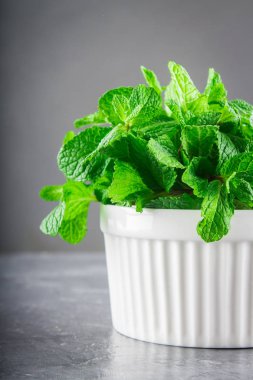 Yeşil gri bir arka plan üzerinde beyaz bir kase içinde nane