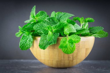 Yeşil nane gri bir arka plan üzerinde bir ahşap kase