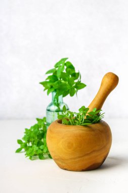 Hafif bir arka plan üzerinde ahşap bir harç yeşil limon fesleğen. Fesleğen şişe.