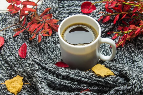 Горщик гарячої кави восени встановлюється на дерев'яний стіл з в'язаним шарфом, светром. Комфорт, тепло, затишок . — стокове фото