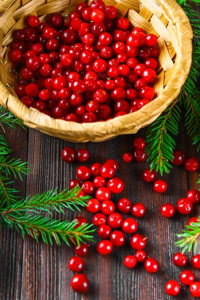 Fuska, kahverengi ahşap bir masa üzerinde sepeti üzerinden foxberry, kızılcık, İsveç kirazı sips. Çam dalları tarafından çevrili.
