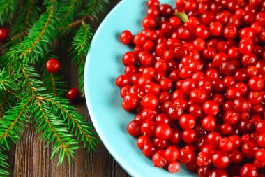 Fuska, kahverengi ahşap bir masa üzerinde mavi bir seramik tabak üzerinde foxberry, kızılcık, İsveç kirazı. Çam dalları tarafından çevrili.