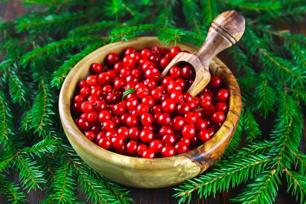 Cowberry, foxberry, cranberry, lingonberry en un tazón de madera con una cucharada en una mesa de madera marrón. Rodeado de ramas de abeto . — Foto de Stock