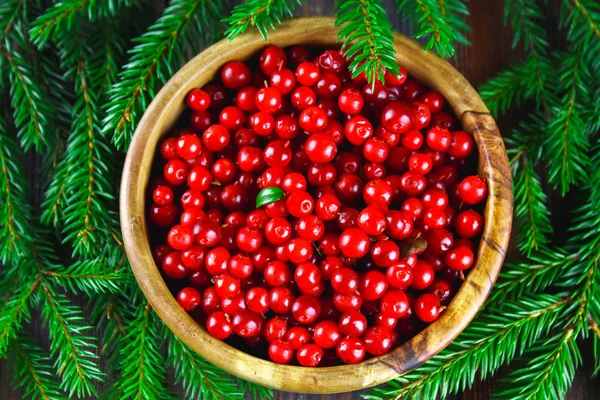 Cowberry, foxberry, cranberry, lingonberry em uma tigela de madeira em uma mesa de madeira marrom. Rodeado por ramos de abeto . — Fotografia de Stock