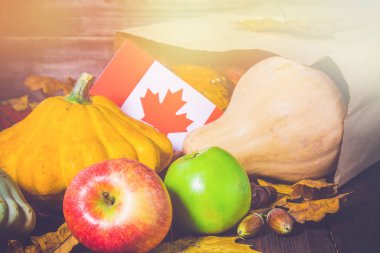 Kanada'da mutlu şükran günü. Sebze, kabak, kabak, elma, akçaağaç ve meşe yaprakları, ahşap arka plan üzerinde meşe palamudu. Ahşap bir masaya hasat ve sarı sonbahar yaprakları.