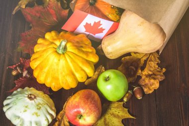 Kanada'da mutlu şükran günü. Sebze, kabak, kabak, elma, akçaağaç ve meşe yaprakları, ahşap arka plan üzerinde meşe palamudu. Ahşap bir masaya hasat ve sarı sonbahar yaprakları.
