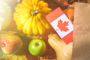 Kanada'da mutlu şükran günü. Sebze, kabak, kabak, elma, akçaağaç ve meşe yaprakları, ahşap arka plan üzerinde meşe palamudu. Ahşap bir masaya hasat ve sarı sonbahar yaprakları.