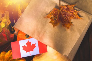 Kanada'da mutlu şükran günü. Sebze, kabak, kabak, elma, akçaağaç ve meşe yaprakları, ahşap arka plan üzerinde meşe palamudu. Ahşap bir masaya hasat ve sarı sonbahar yaprakları.