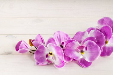 Tomurcuklu pembe orkide. Tebrik kartı.