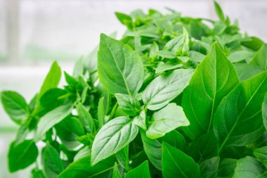 Bir tuğla duvar arka plan beyaz bir beton masada yeşil limon fesleğen demet