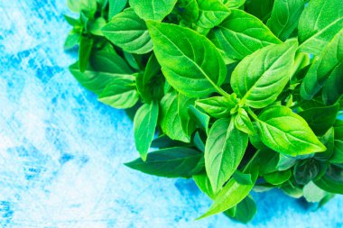 Mavi bir arka plan üzerinde yeşil limon fesleğen demet