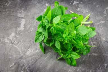 Bir koyu gri beton zemin üzerine yeşil limon fesleğen demet.