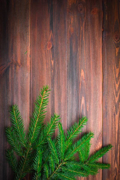 Ветка елки на деревянном фоне — стоковое фото