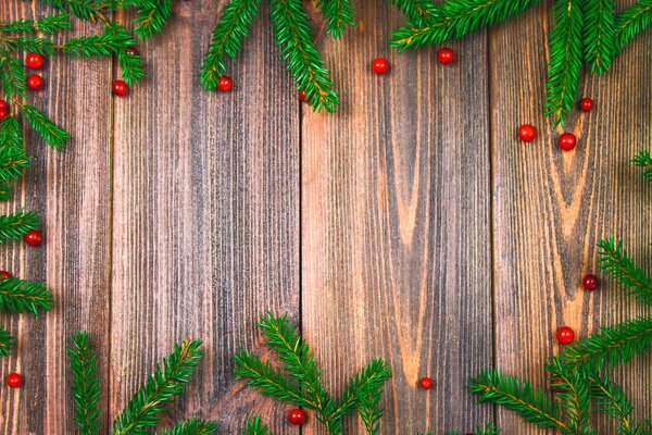 Spruce branches with red berries on a wooden table. copy space.