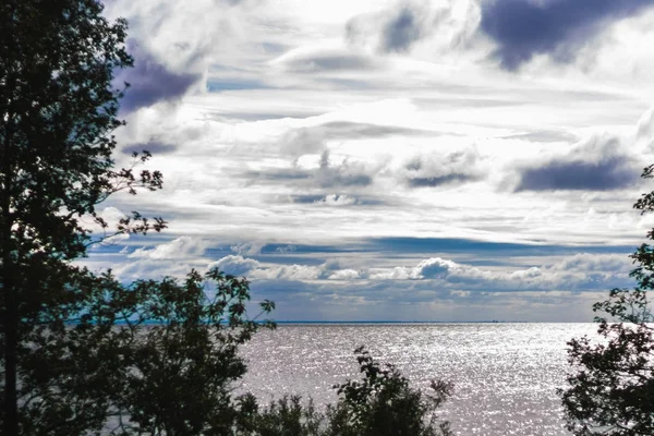 青い空と木の水湾 — ストック写真